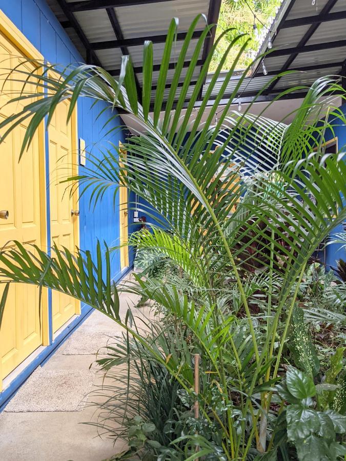 Guesthouse Congo Tempisque リベリア エクステリア 写真